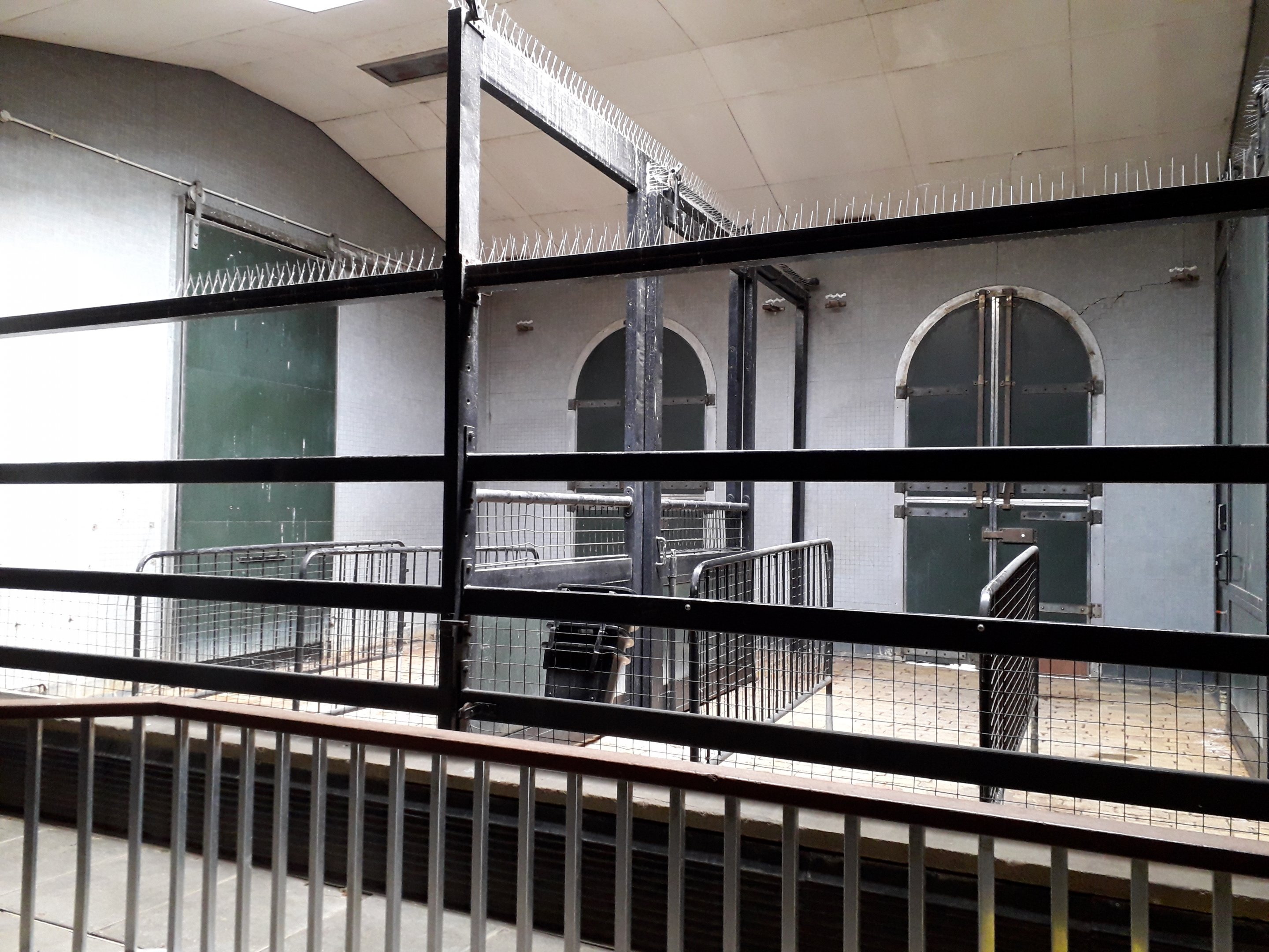 Zebra training stalls in the giraffe house