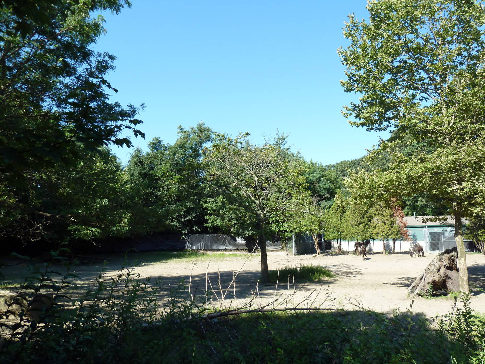 Zebra/Wildebeest Exhibit