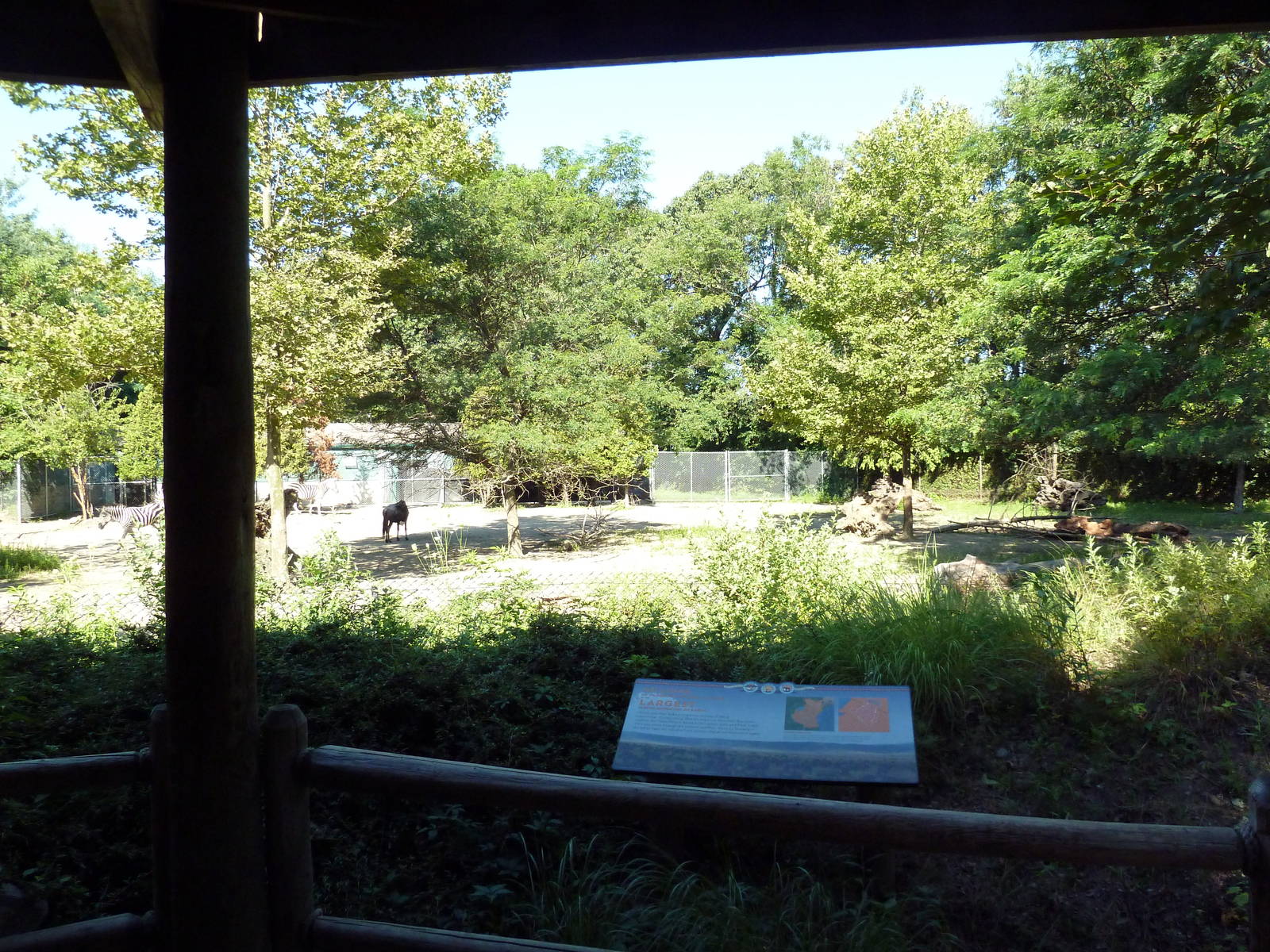 Zebra/Wildebeest Exhibit