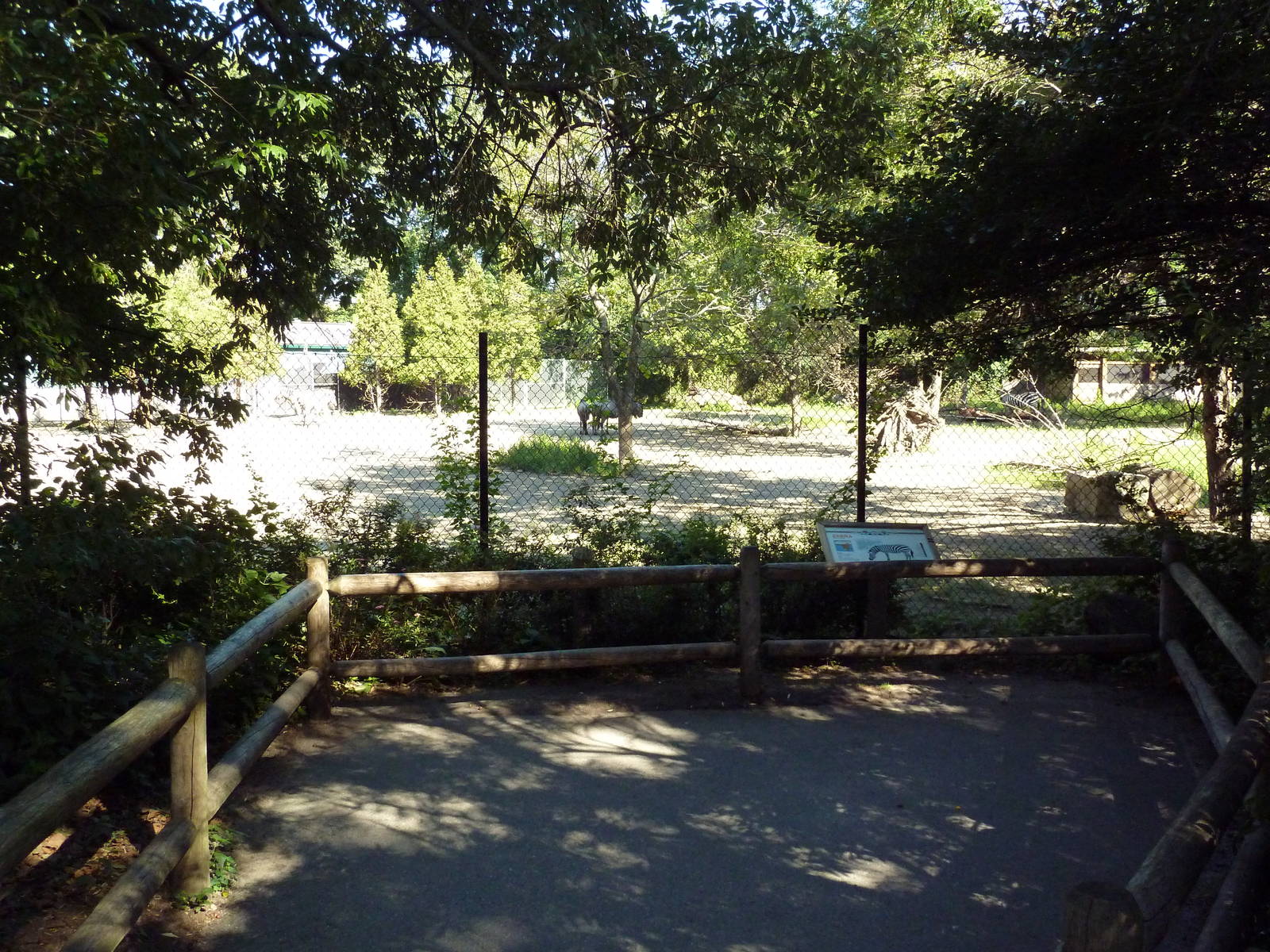 Zebra/Wildebeest Exhibit