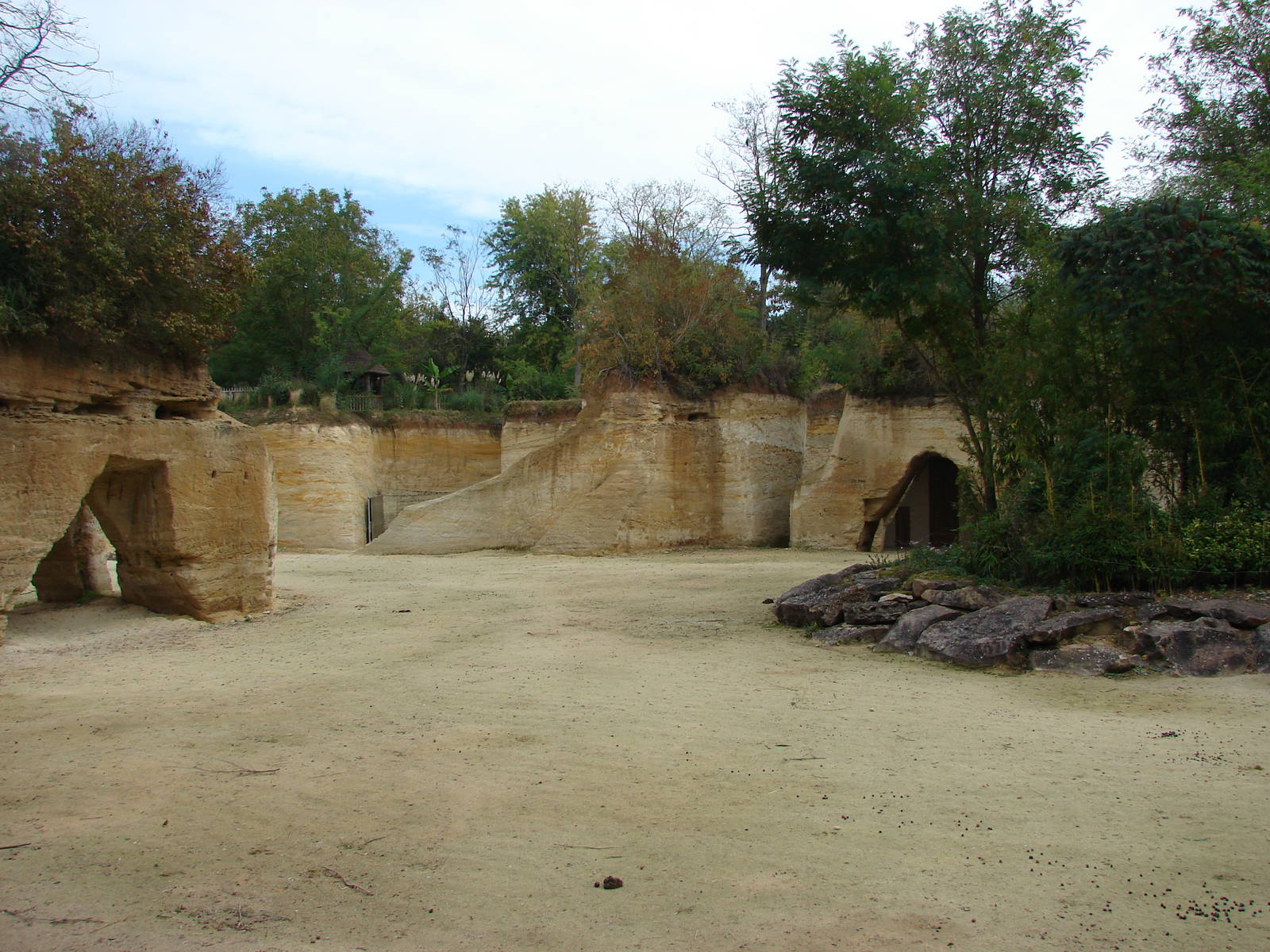 Zebras and Kordofan's giraffes exhibit