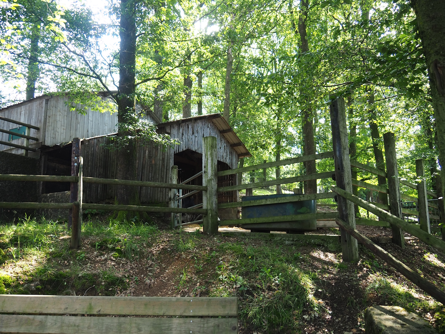 Zebu barn and holding paddock, 2023-06-24