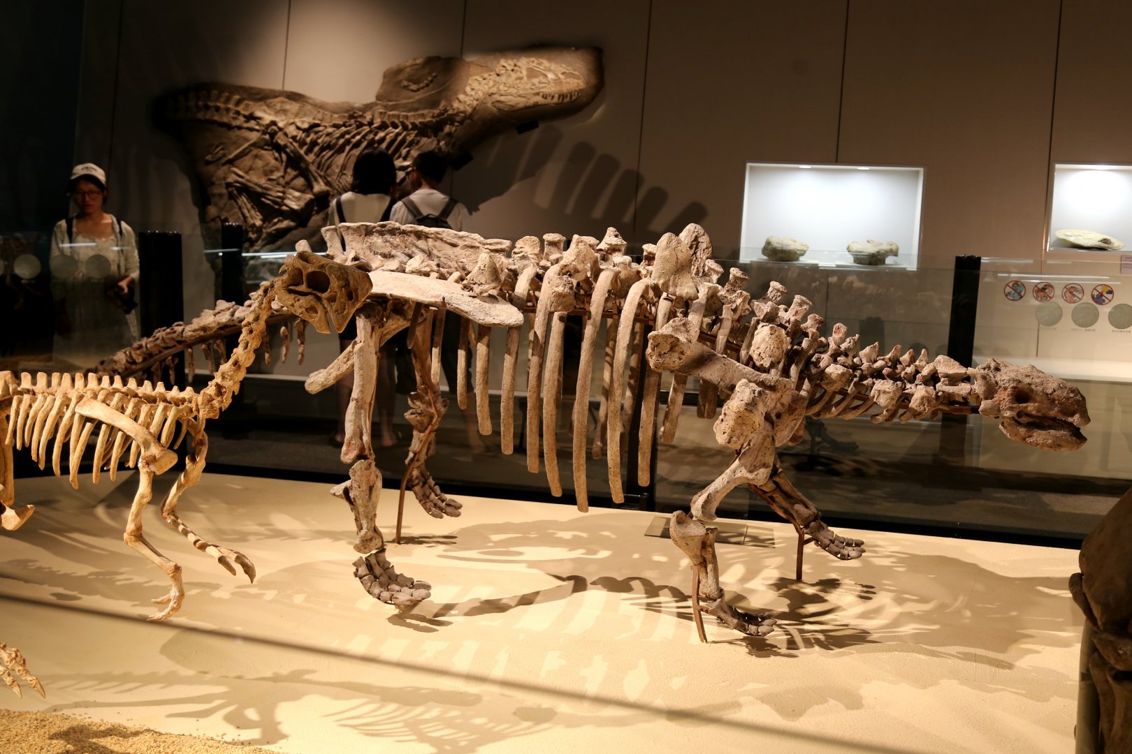 Zhejiangosaurus lishuiensis