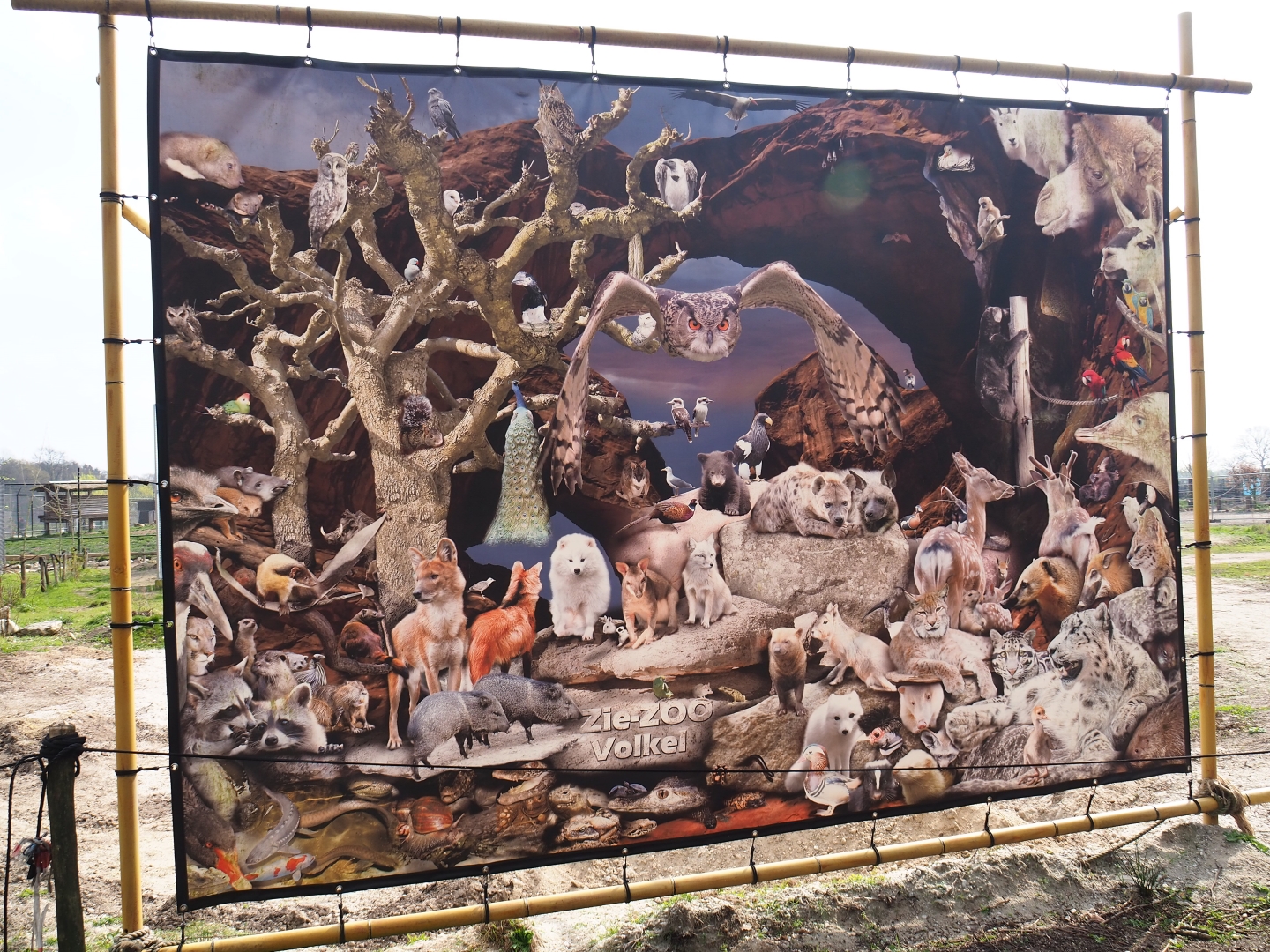 Zie-Zoo animals banner, 2019-04-06