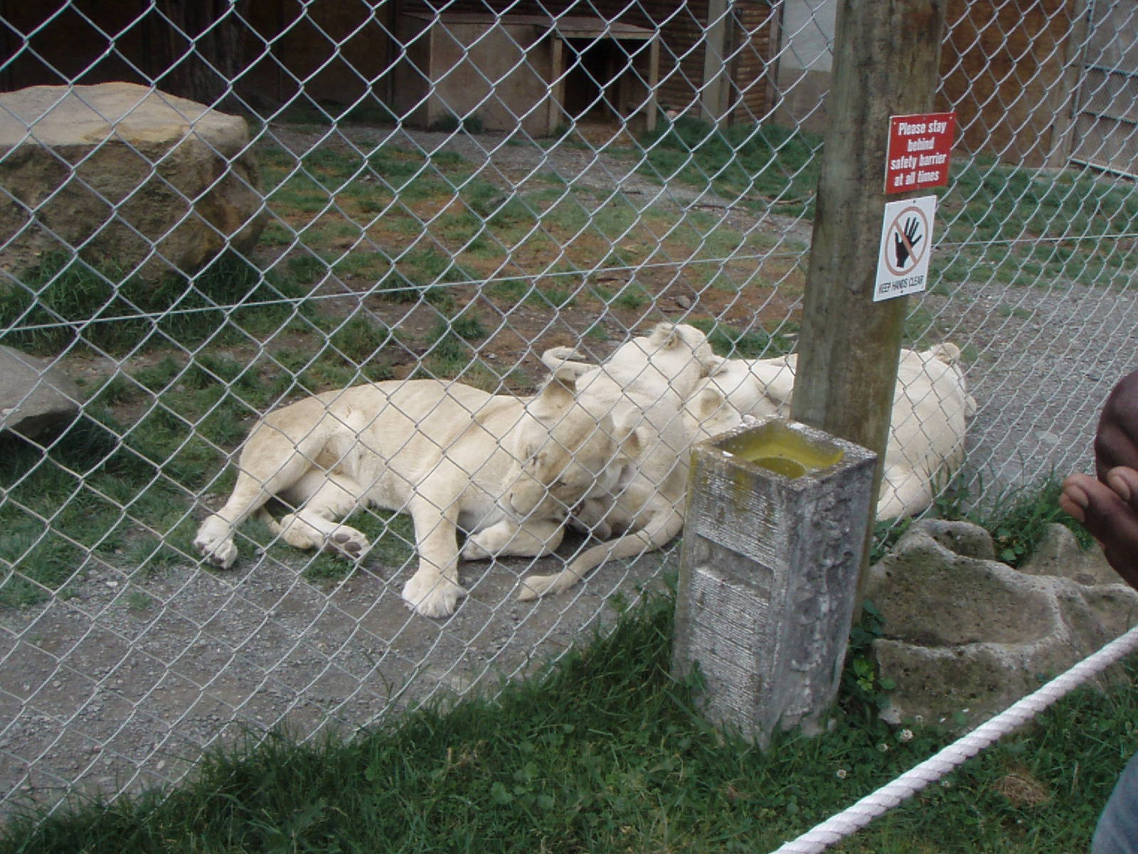 zion wildlife park