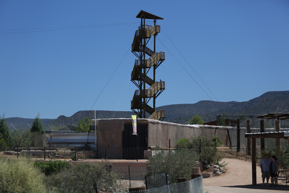 zip tower and reptile exhibit