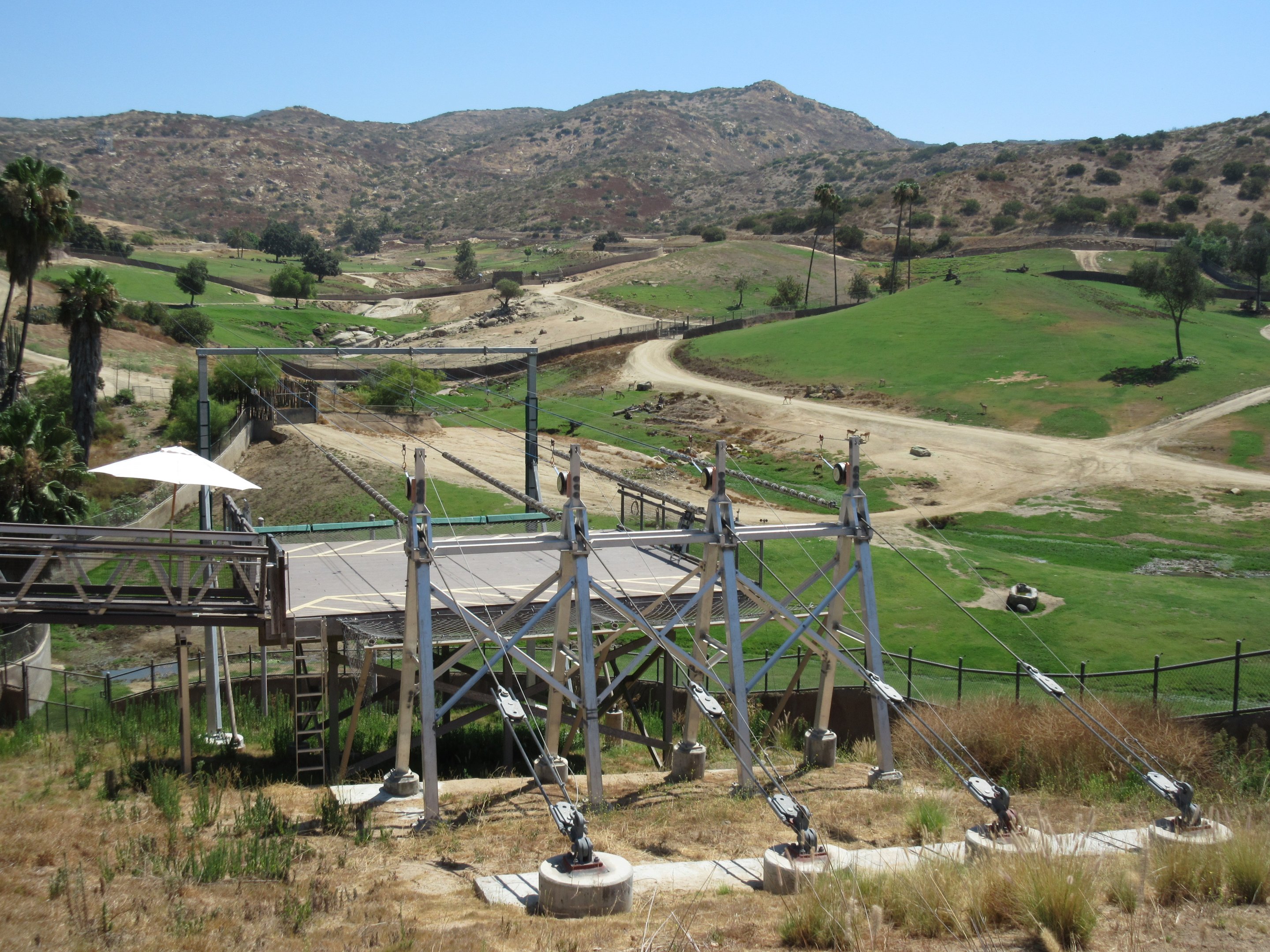 Zipline + African Savanna