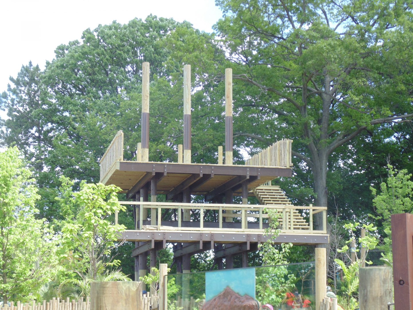 zipline(not opened yet)