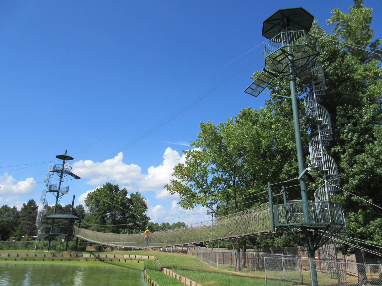 Zipline Over Gator Pond