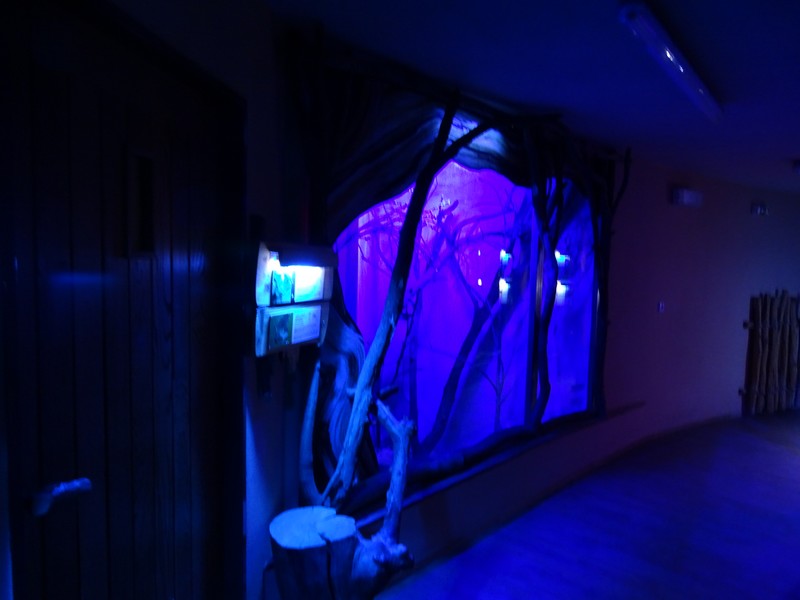 Zo Jihlava 04/2016: Africa house