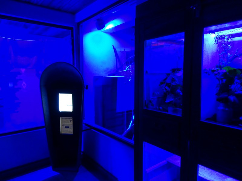 Zo Jihlava 04/2016: Australia house nocturnal section