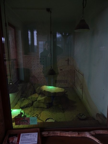 Zo Jihlava 04/2016: Gundi enclosure