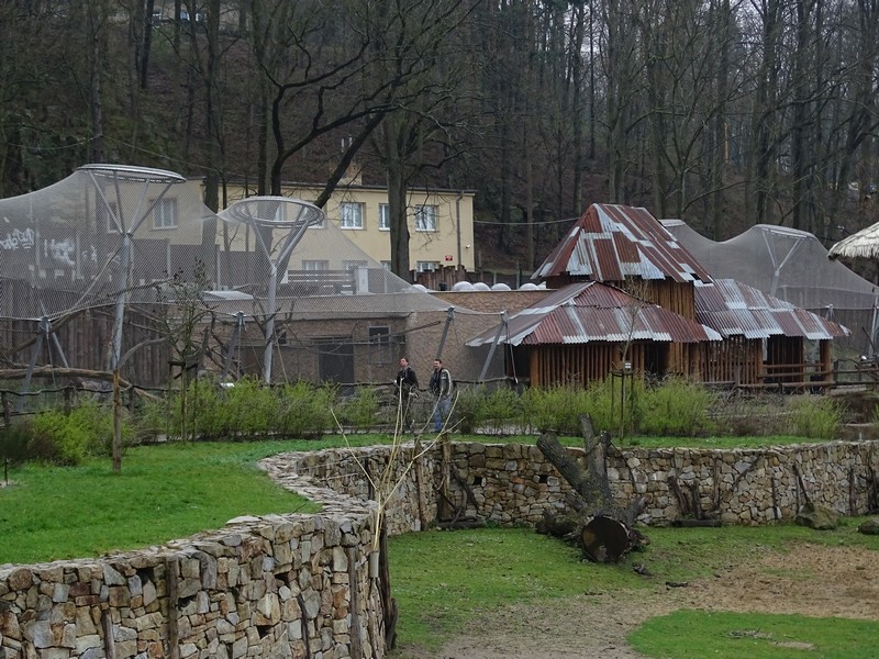 Zo Jihlava 04/2016: Monkey building