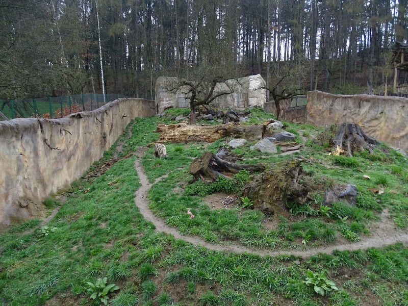 Zo Jihlava 04/2016: Striped hyena enclosure