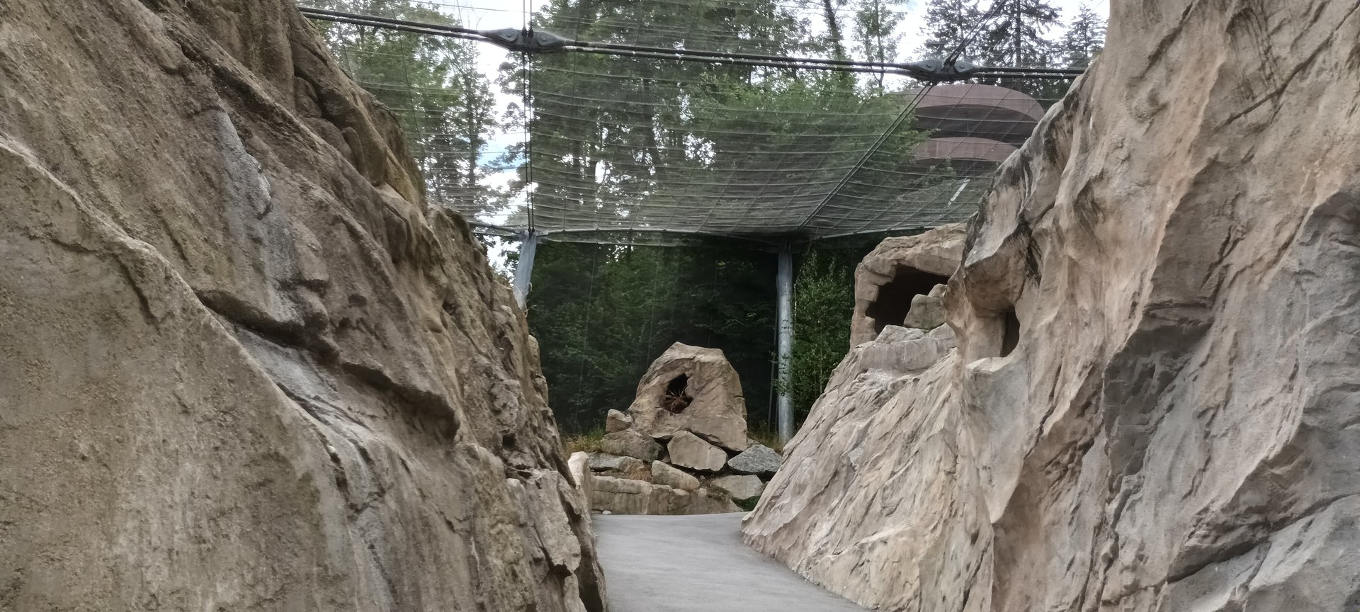 Zogg Troller Aviary of Alpine Vultures