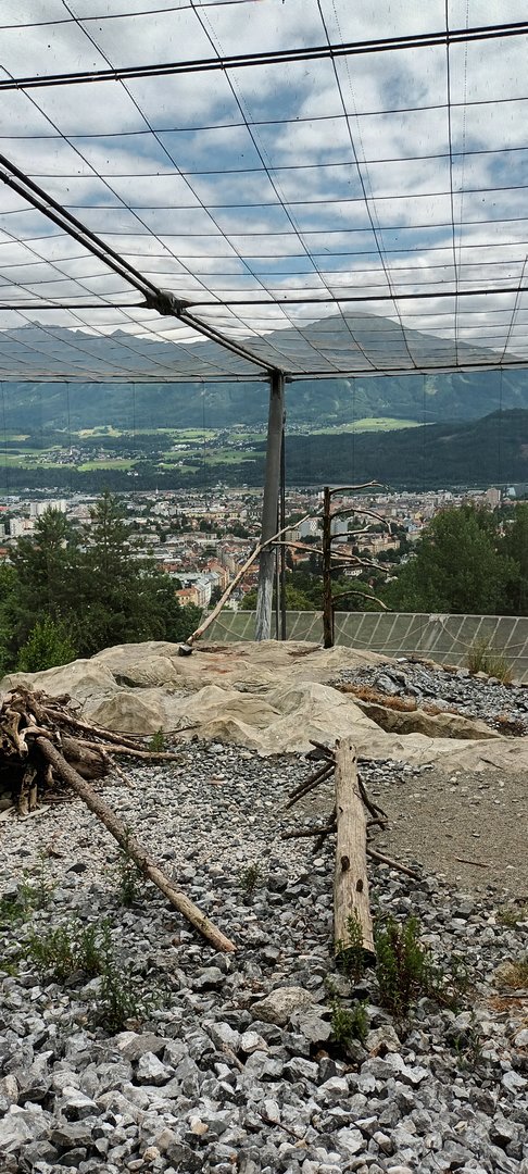 Zogg Troller Aviary of Alpine Vultures