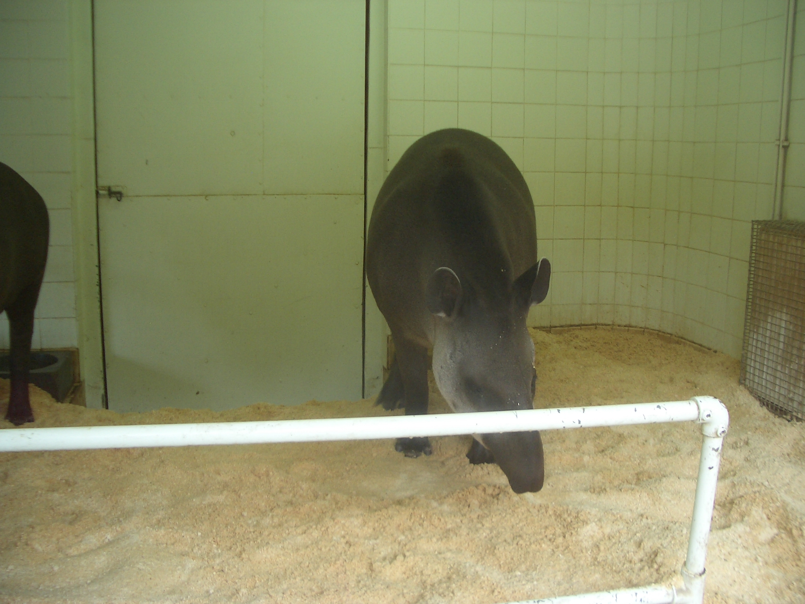 Zona Brazil Area - 24.07.2010