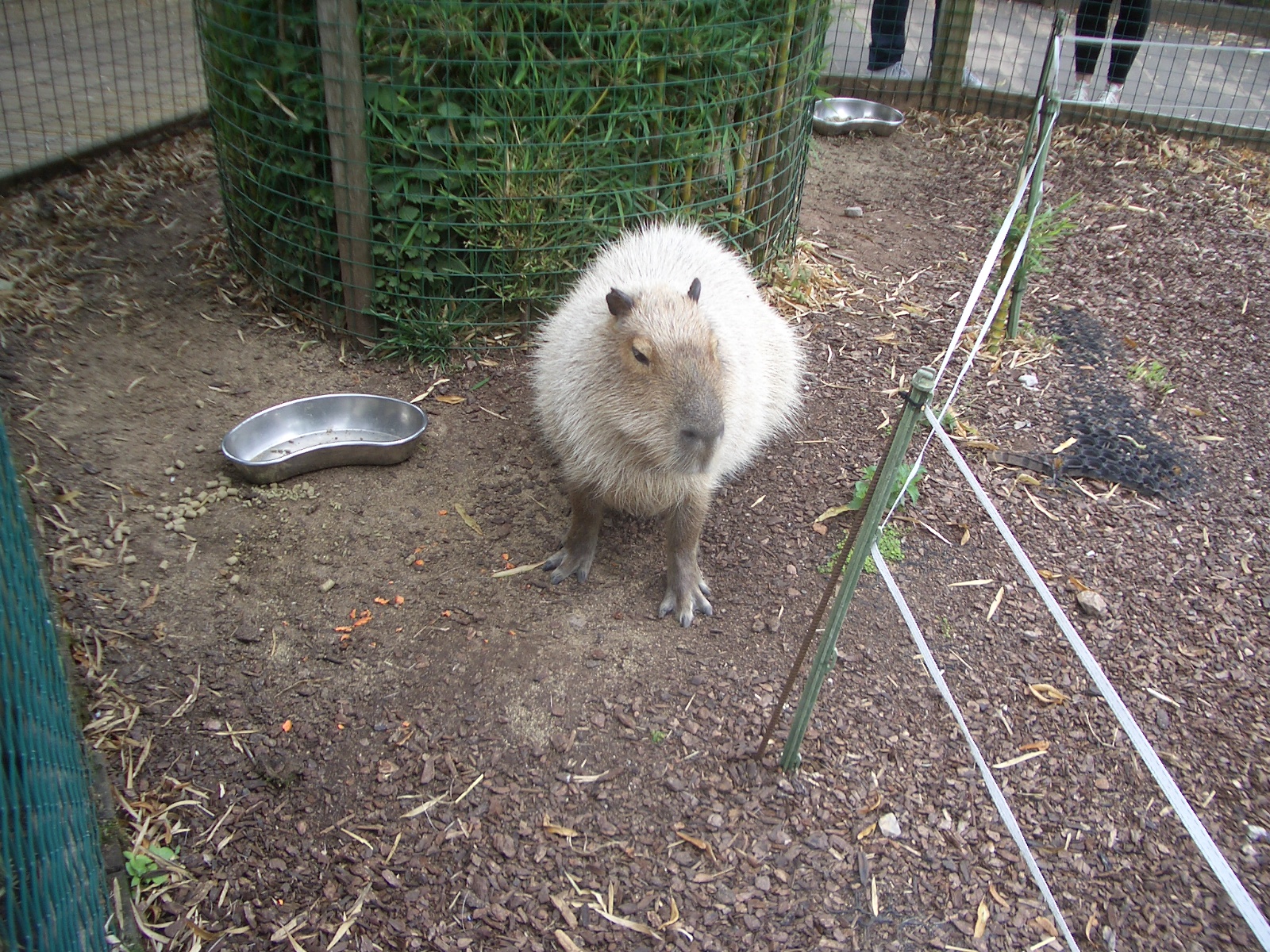 Zona Brazil Area - 24.07.2010