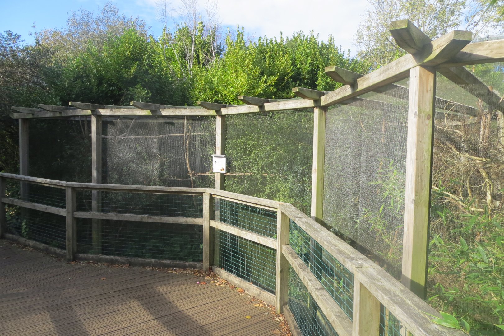 Zona Brazil - aviary 261018