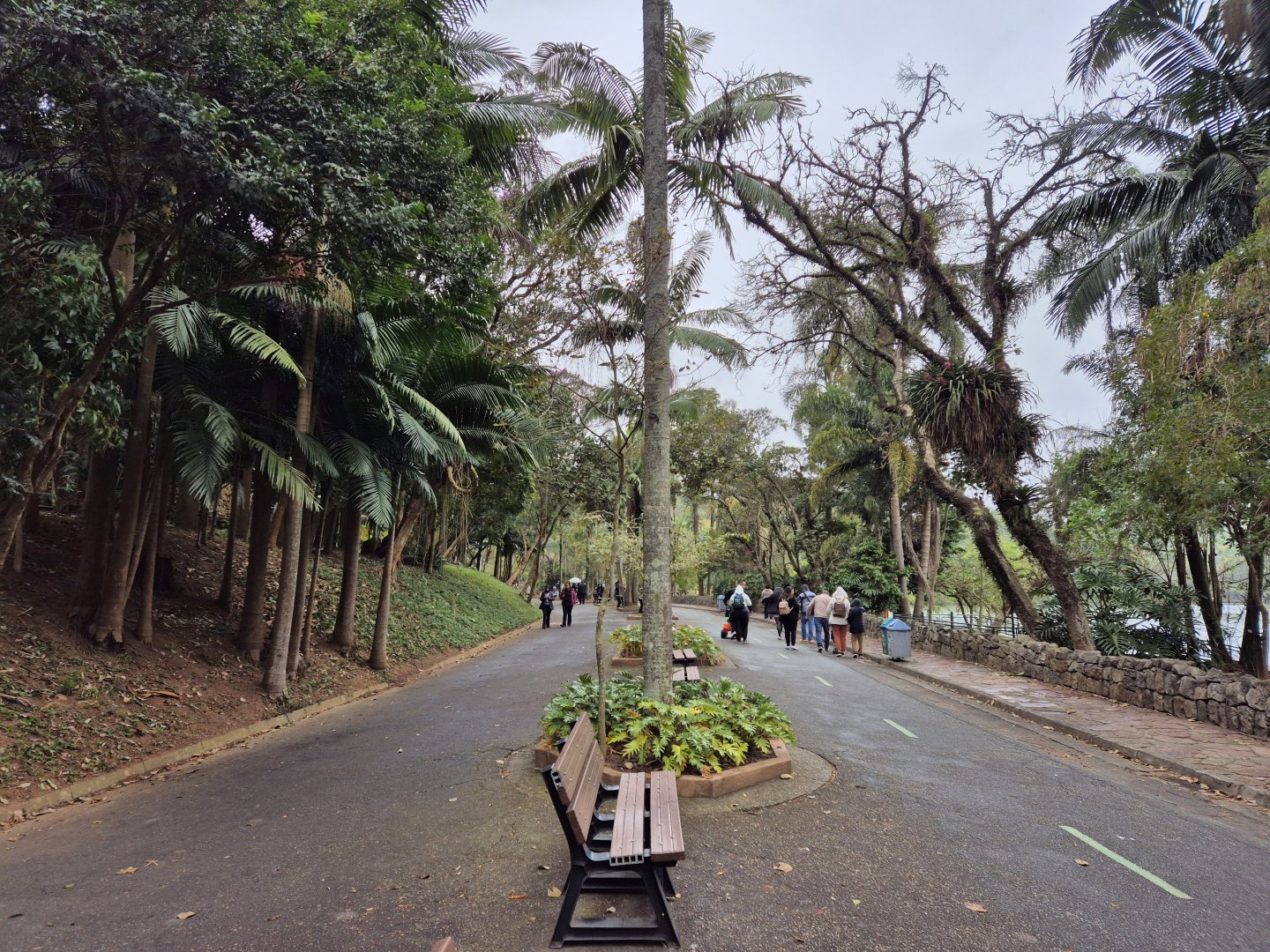 Zone number 6, Primates, Penguins and  Aiviaris