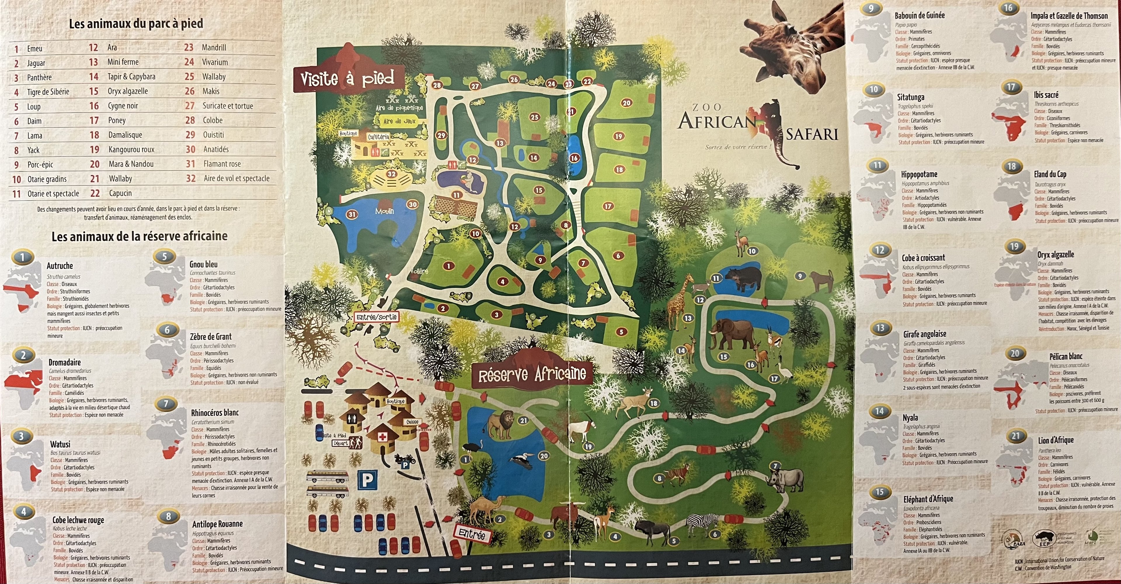 Zoo African Safari Map - 2016