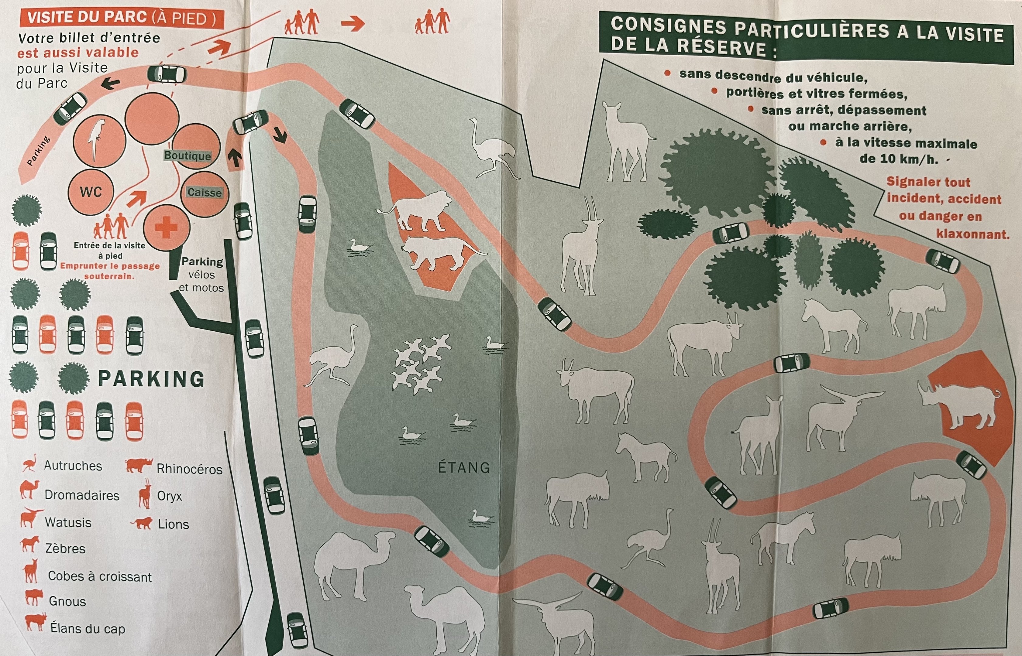 Zoo African Safari Map - undated