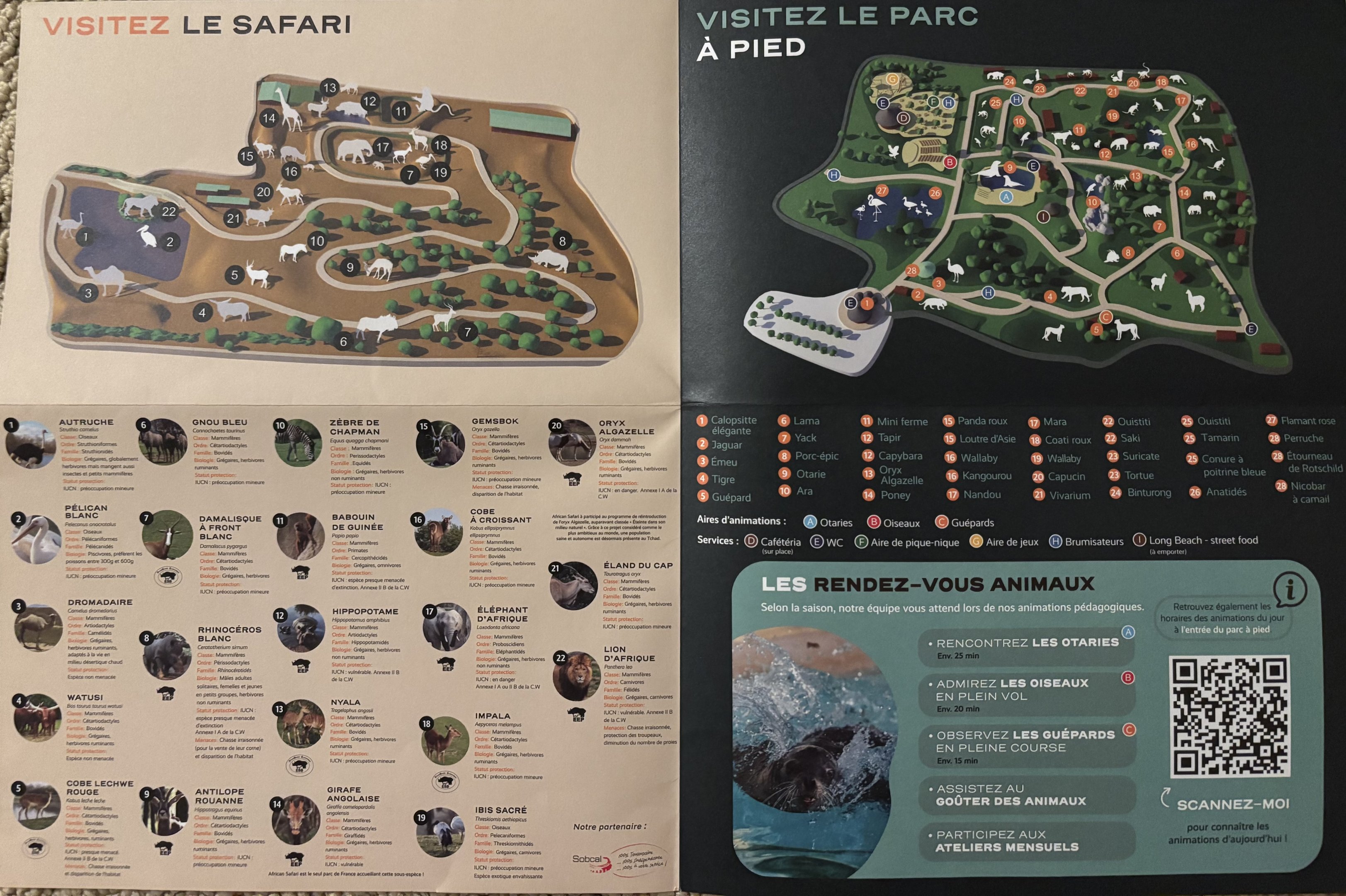 Zoo African Safari Map - undated