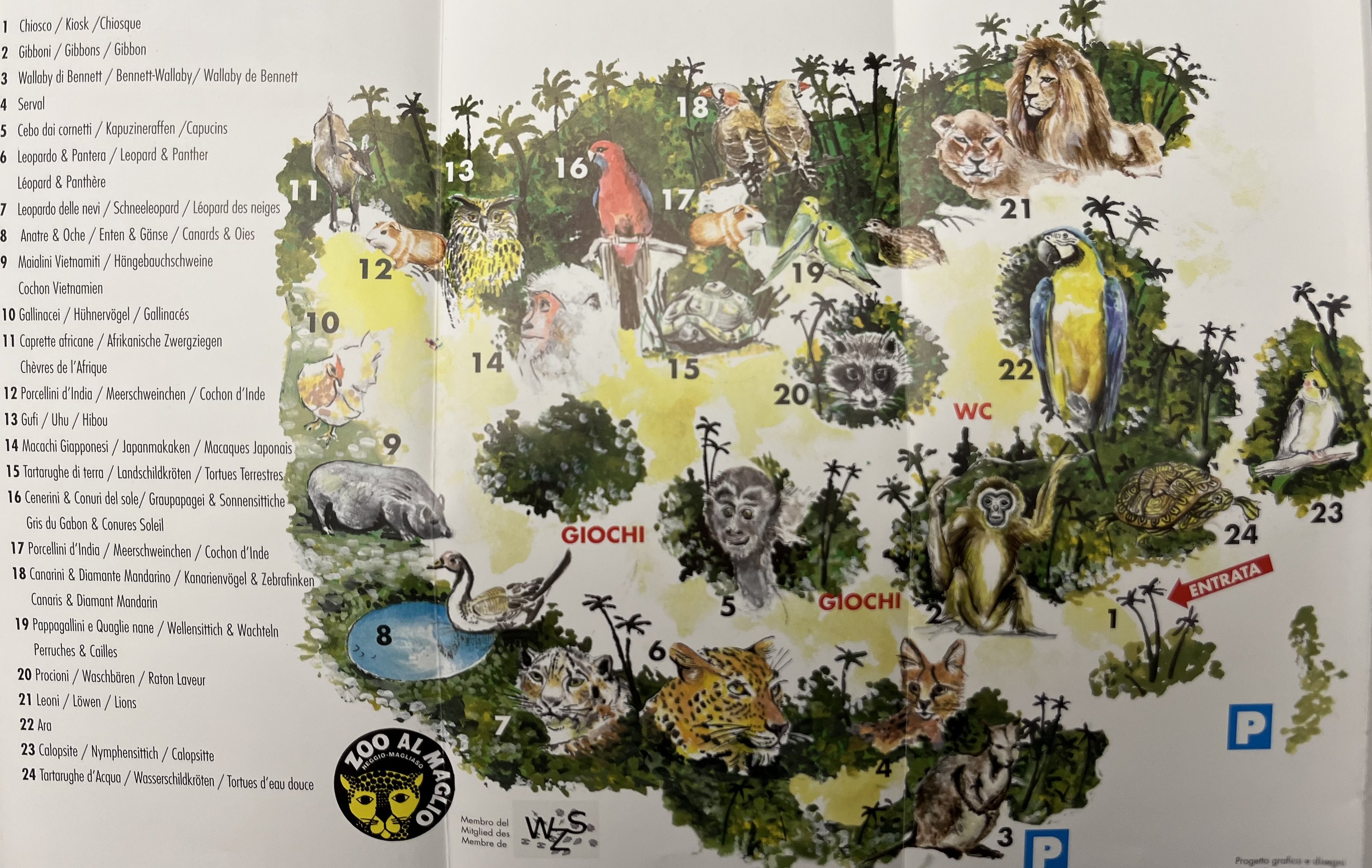 Zoo al Maglio Map - undated