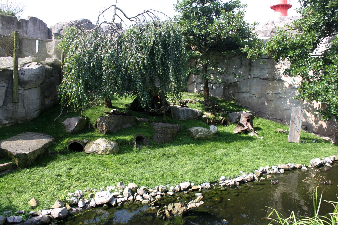 Zoo am Meer - Arctic hare exhibit