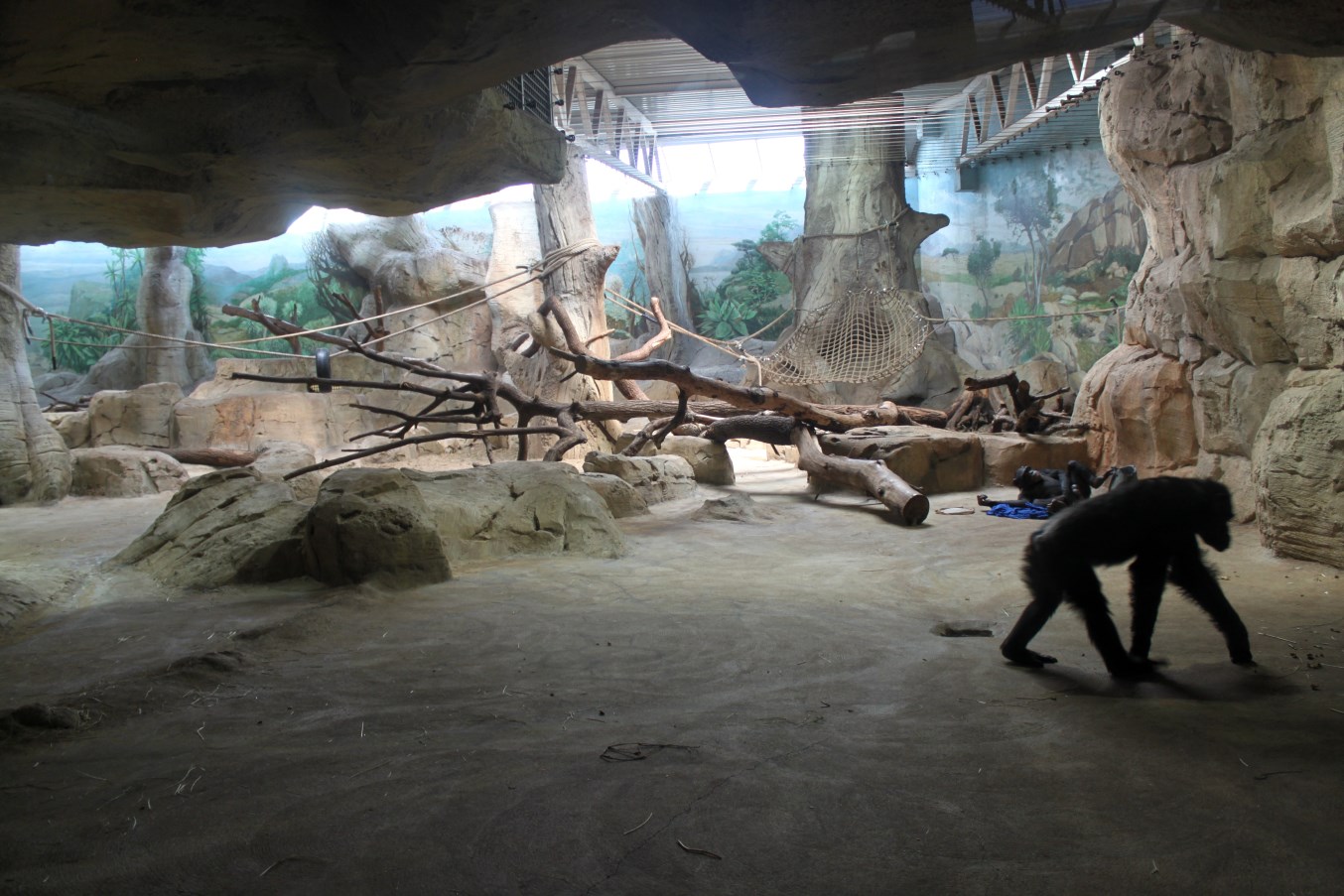 Zoo Am Meer - Chimpanzee Exhibit