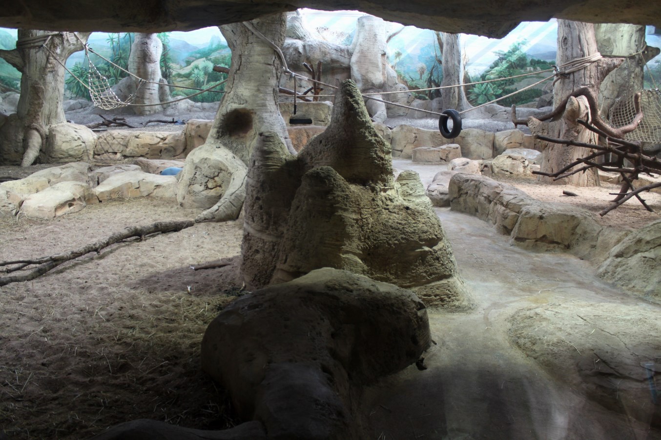 Zoo Am Meer - Chimpanzee Exhibit