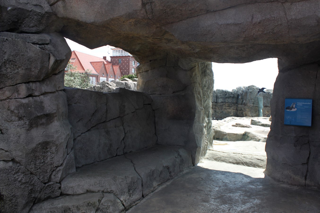 Zoo am Meer - Fur seal exhibit