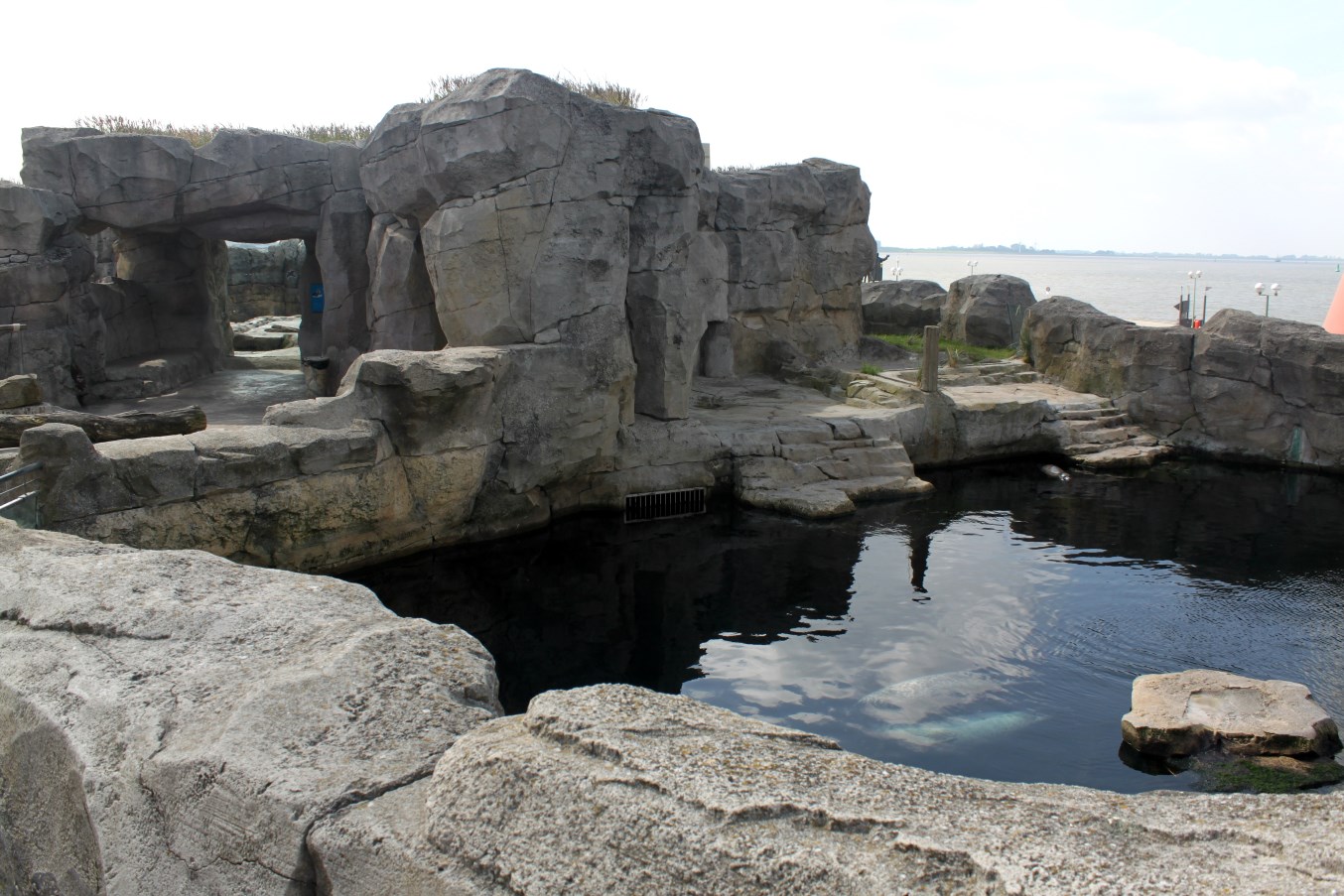 Zoo am Meer - Harbour seal exhibit