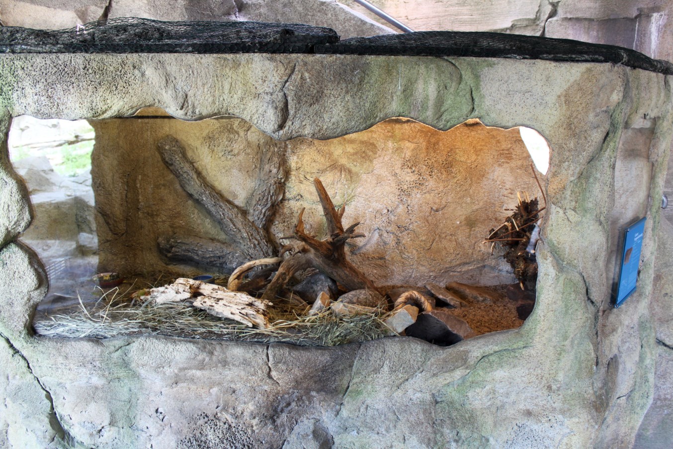 Zoo am Meer - Lemming exhibit