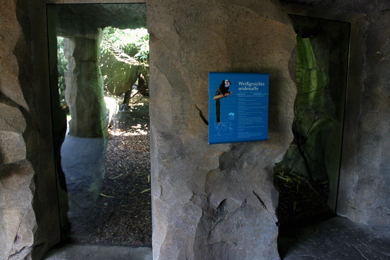 Zoo am Meer - Marmoset exhibit