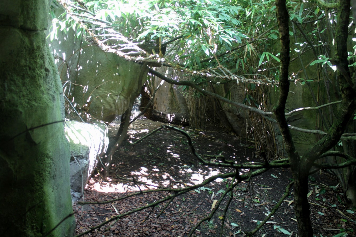 Zoo am Meer - Marmoset exhibit