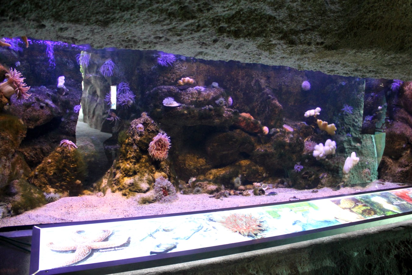 Zoo am Meer - North Sea aquarium