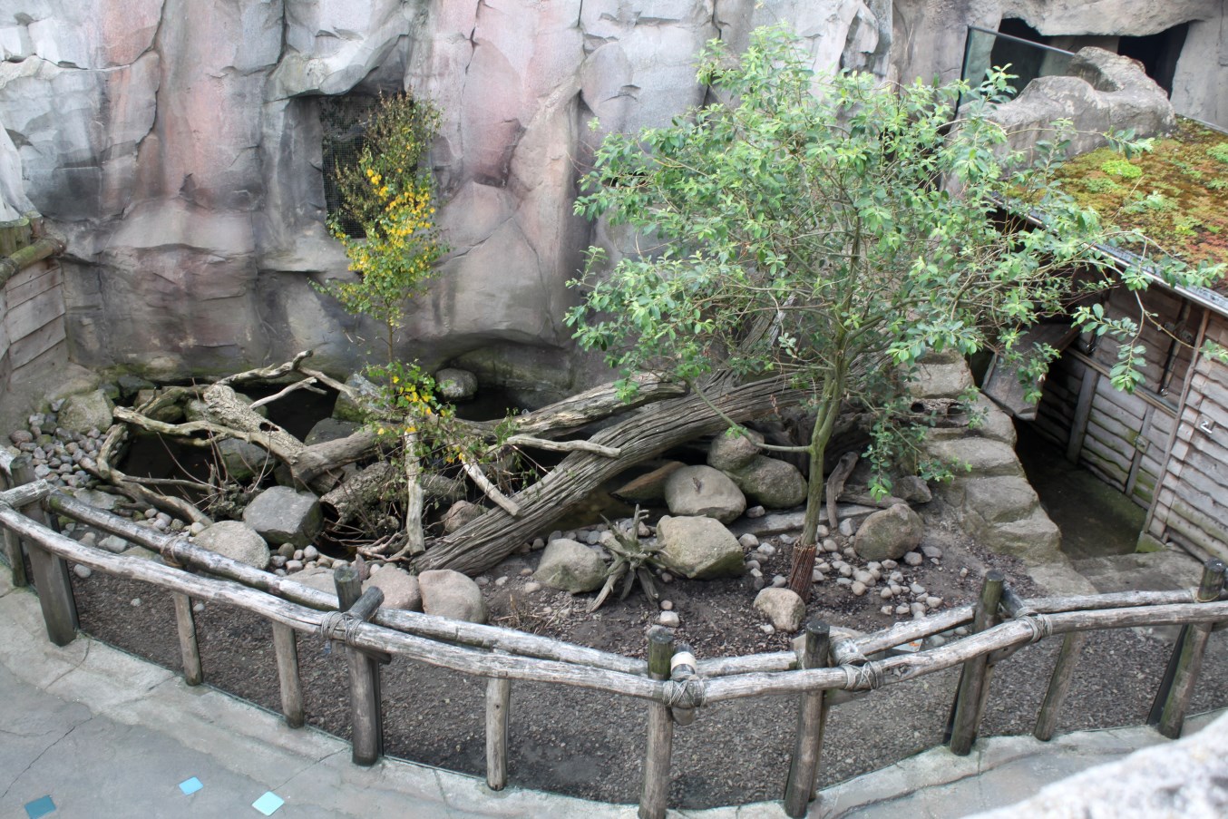 Zoo am Meer - Otter exhibit