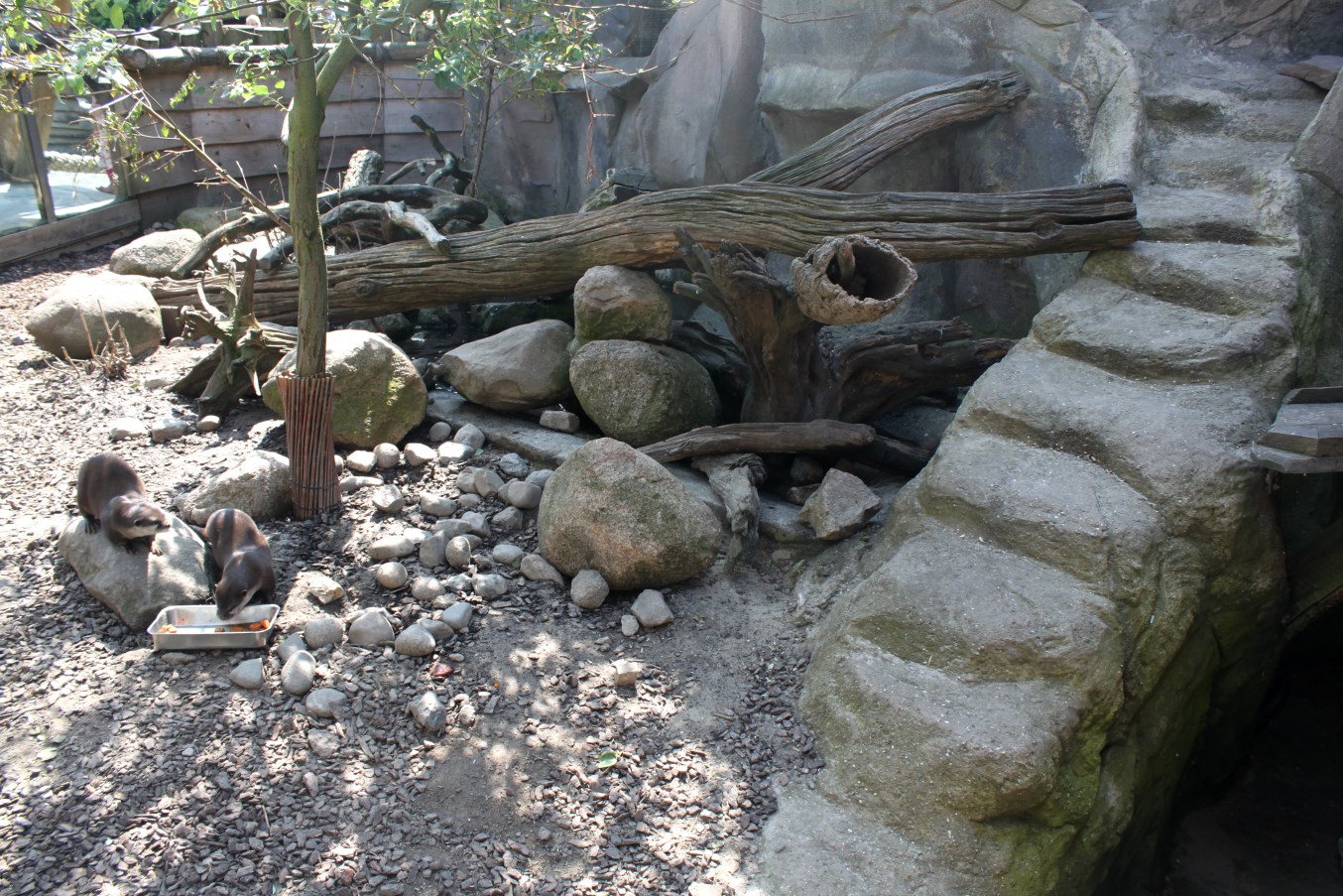 Zoo am Meer - Otter exhibit