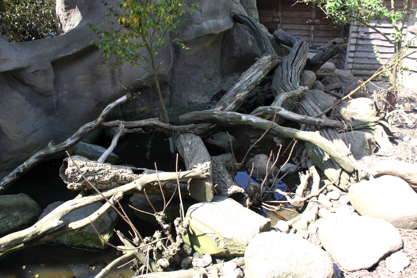 Zoo am Meer - Otter exhibit