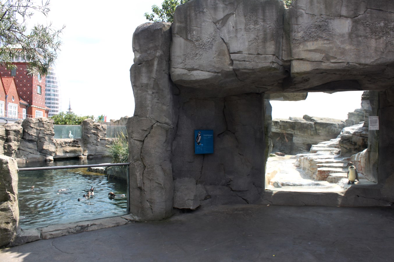 Zoo am Meer - Penguin exhibit