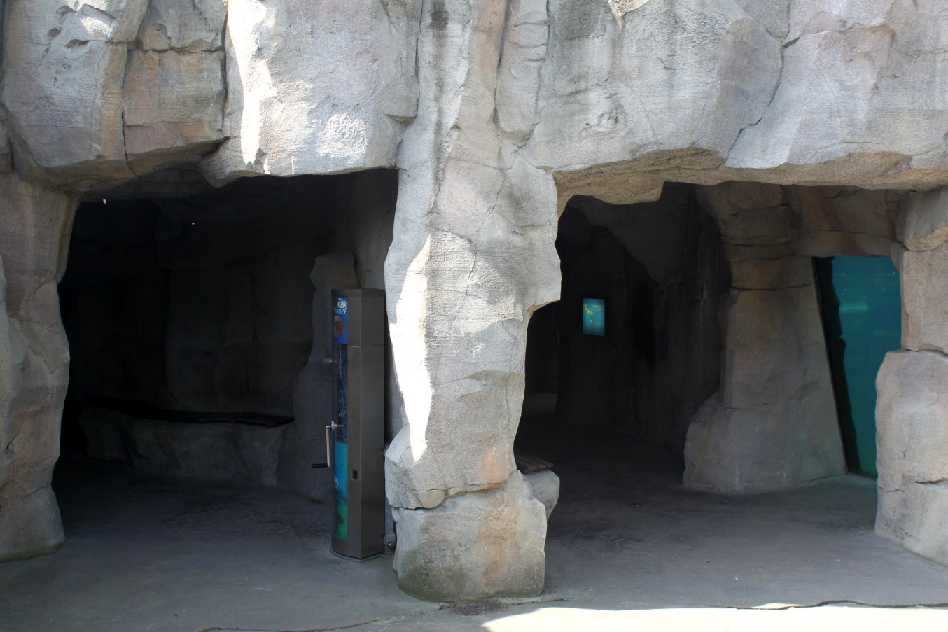 Zoo am Meer - Penguin exhibit