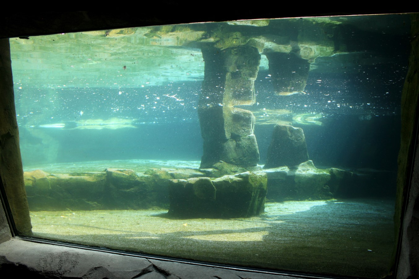 Zoo am Meer - Penguin exhibit