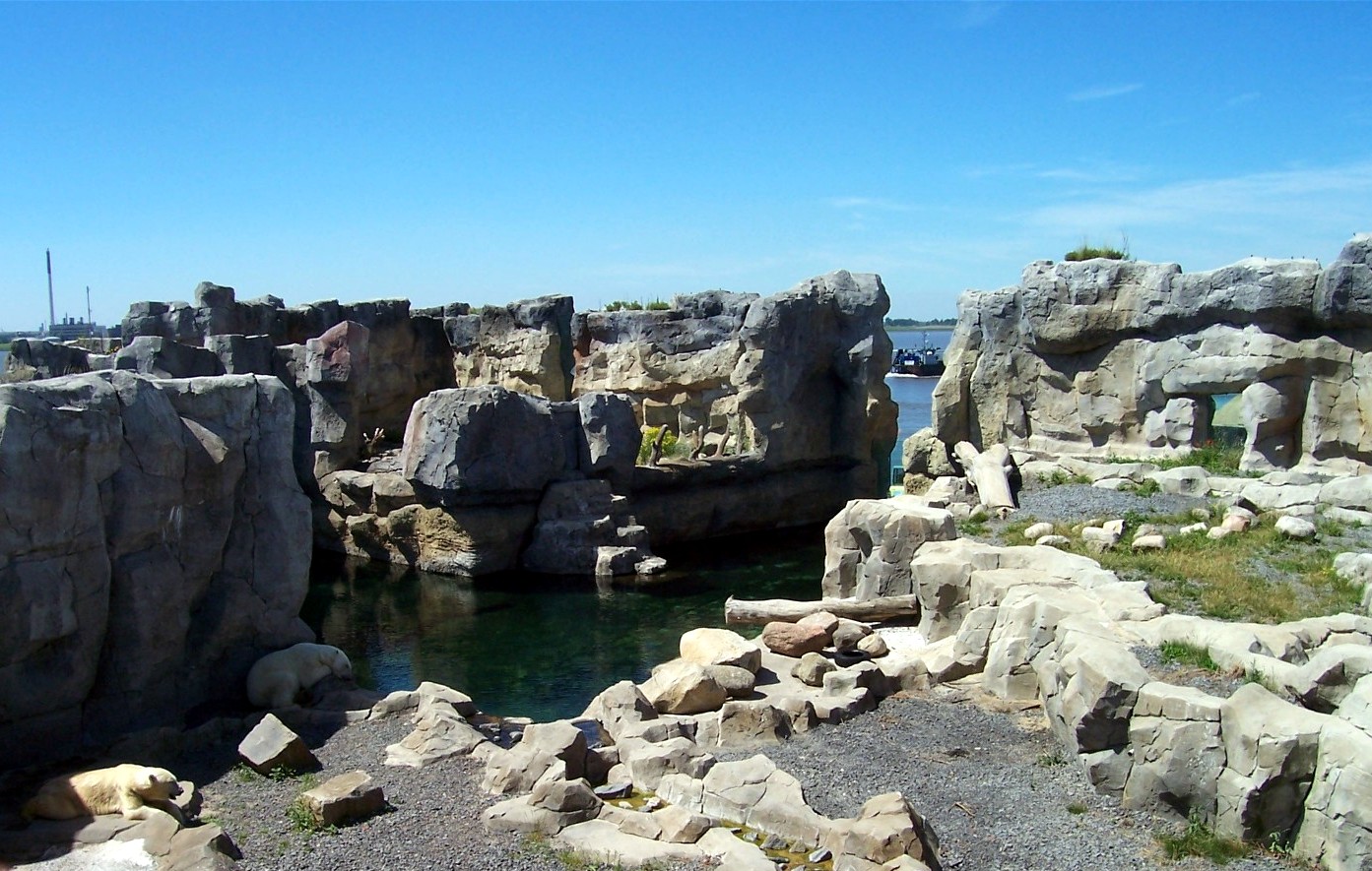 Zoo am Meer - Polar bear exhibit