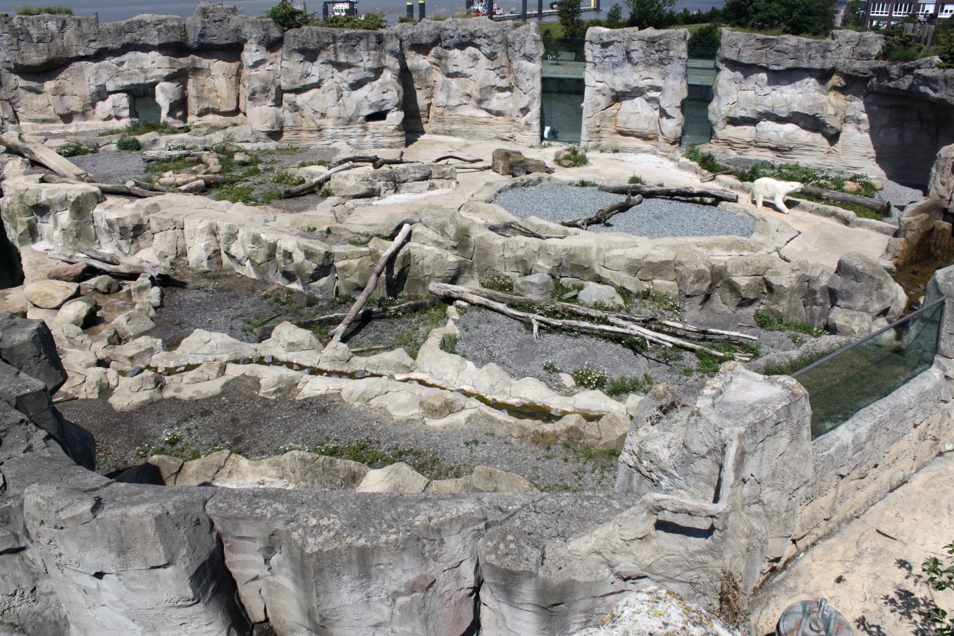 Zoo am Meer - Polar bear exhibit