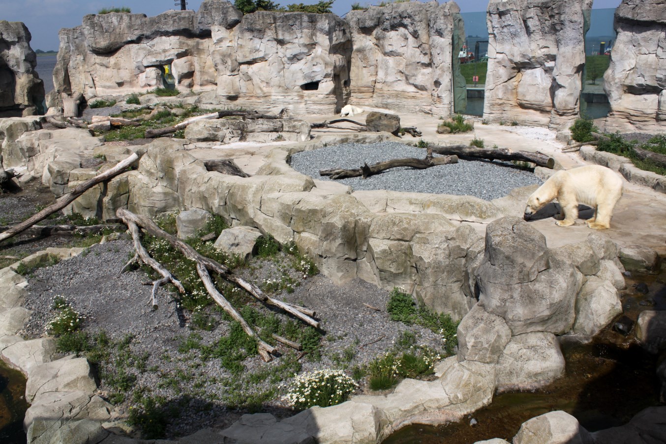 Zoo am Meer - Polar bear exhibit