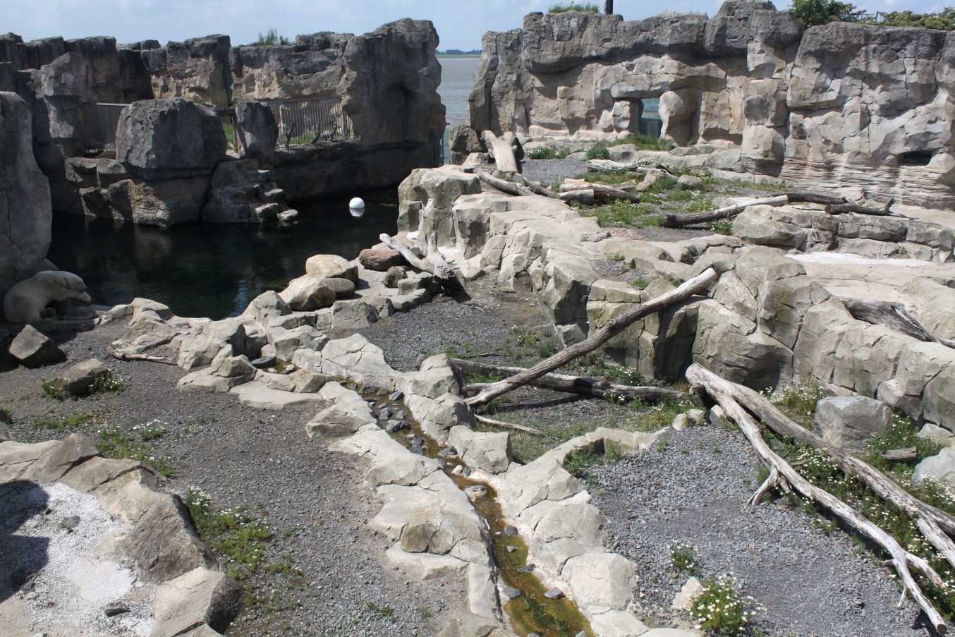 Zoo am Meer - Polar bear exhibit