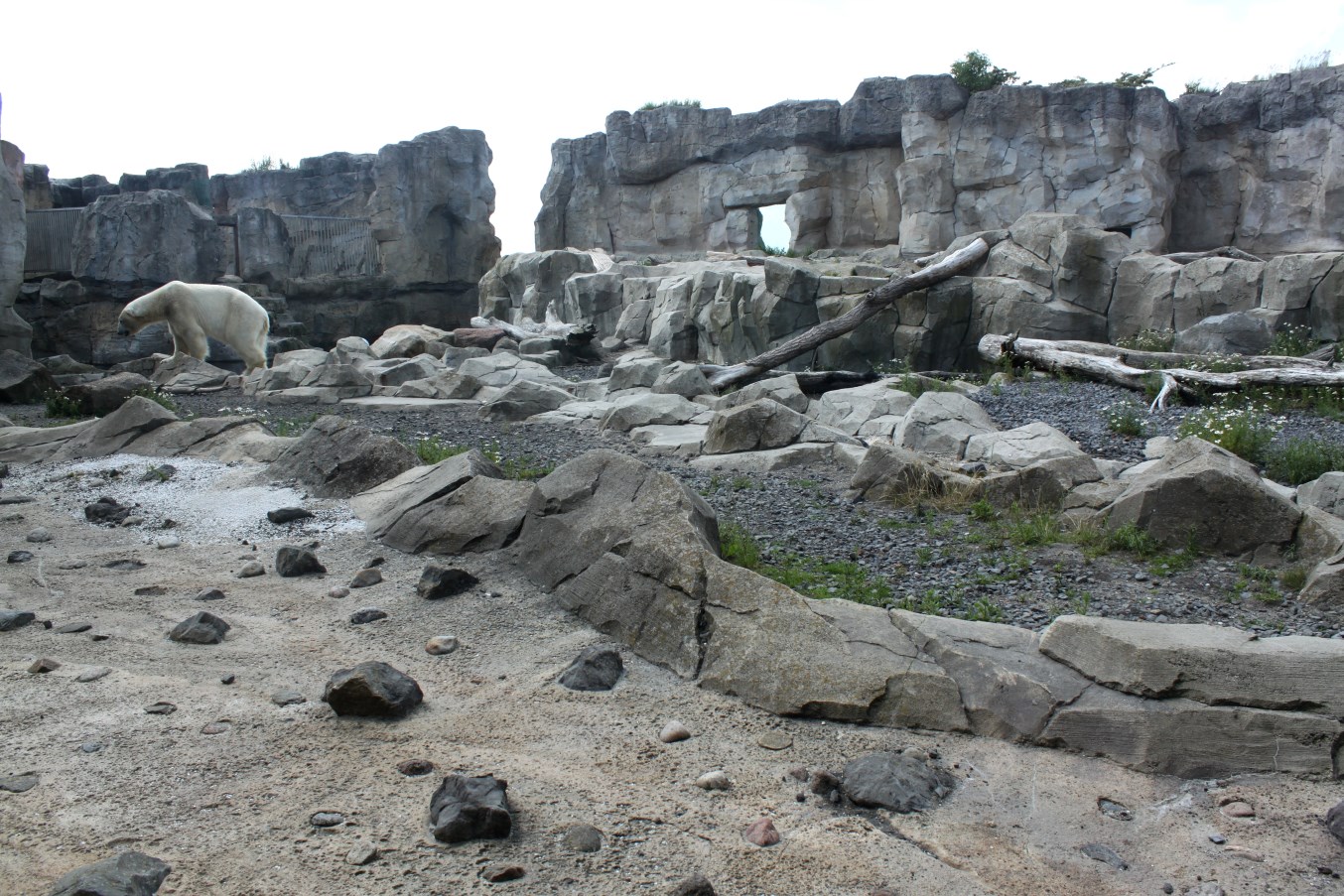 Zoo am Meer - Polar bear exhibit