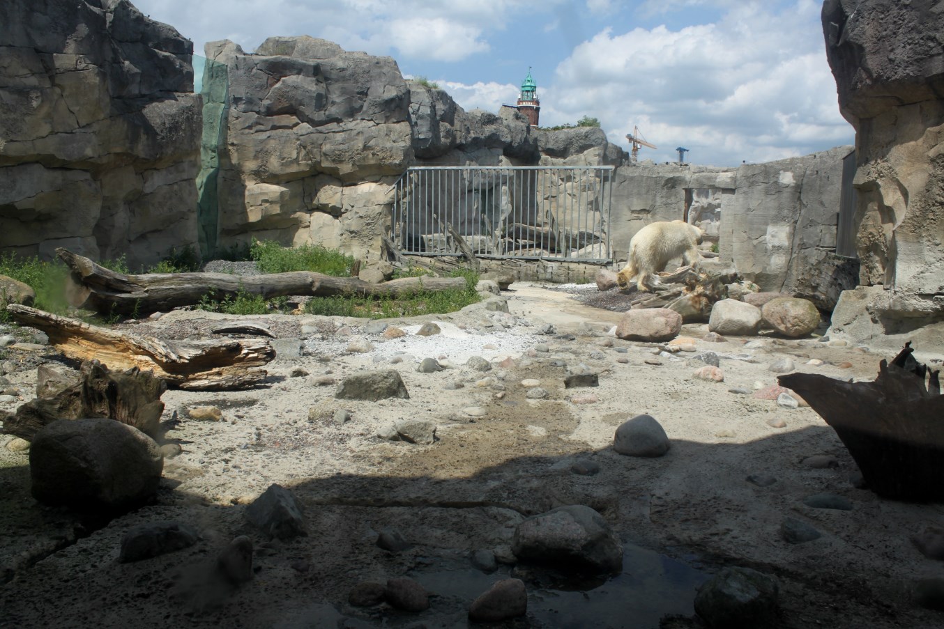 Zoo am Meer - Polar bear exhibit