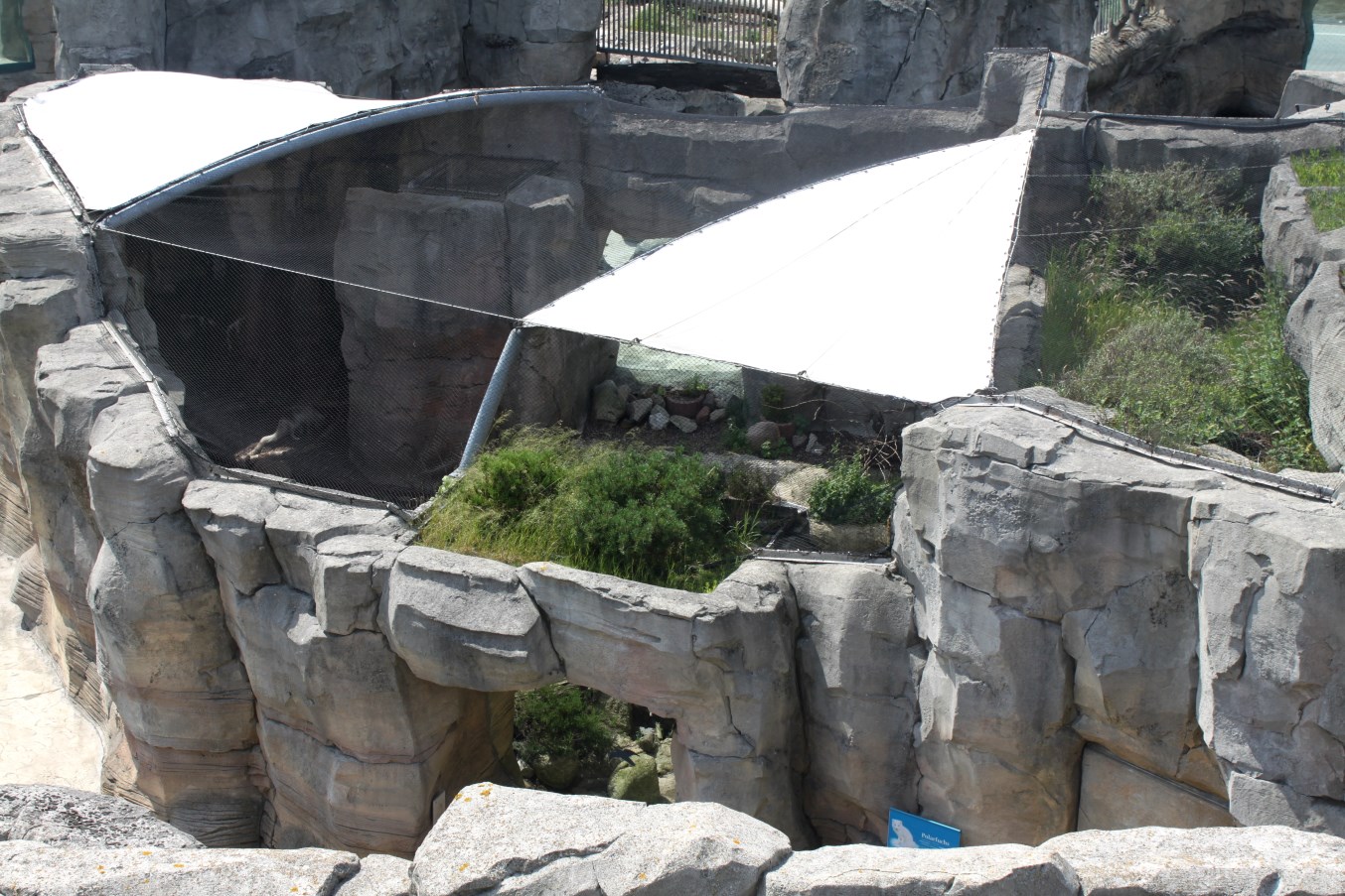 Zoo am Meer - Polar fox exhibit